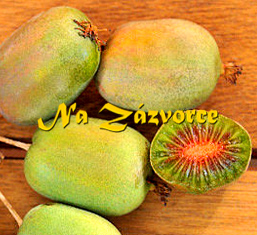KIWI SAMICE Actinidia arguta ´Lucy´