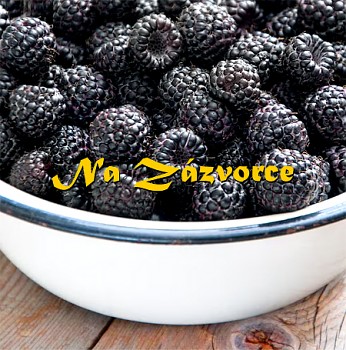 Maliník Selena stáleplodící 