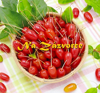 Hlošina mnohokvětá